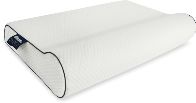 Wat maakt ons hoofdkussen uniek?